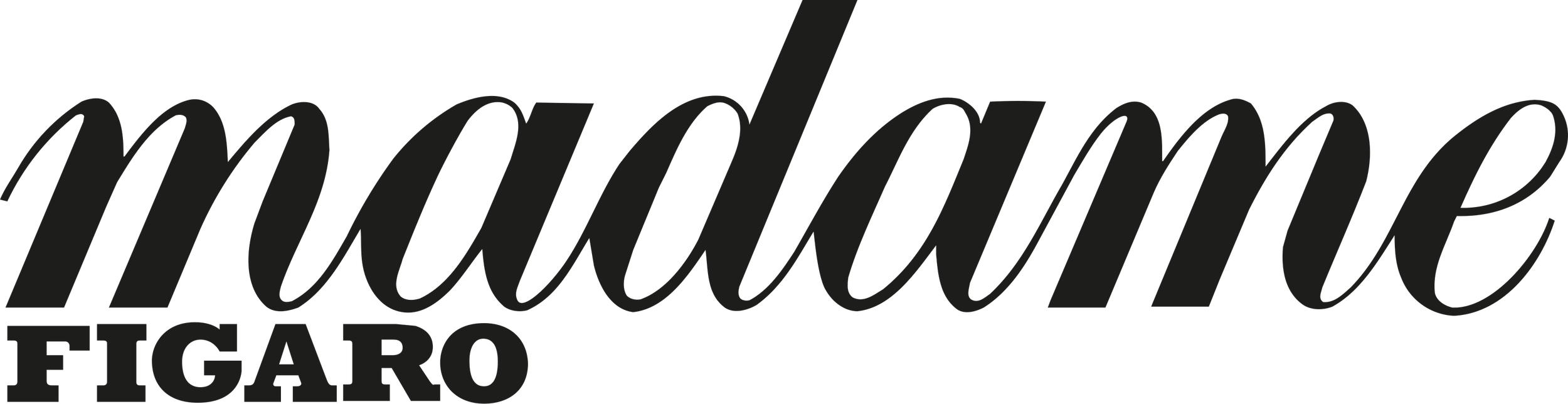 Madame Figaro